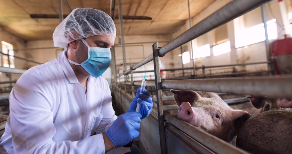 Санитар ветеринарный