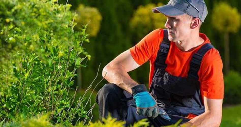 Рабочий зеленого хозяйства