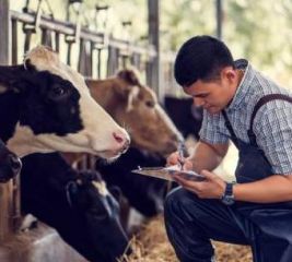 Животновод